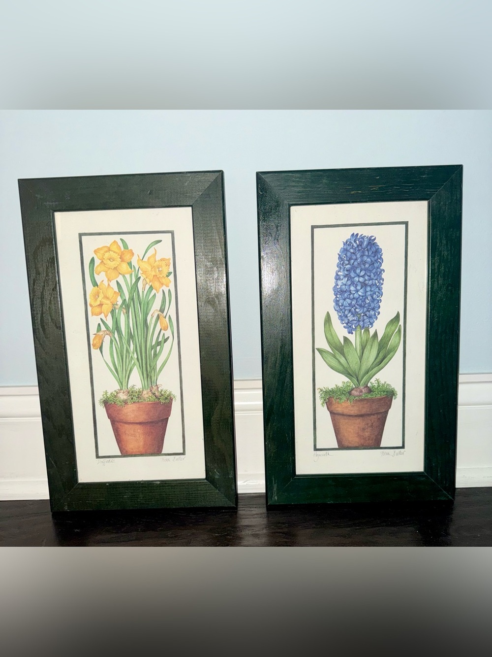 Vintage Botanical Framed Signed Illustrated Prints Yellow Daffodil Blue Hyacinth